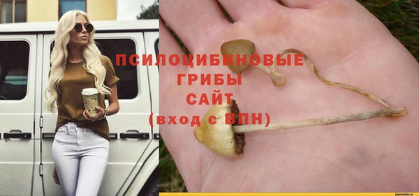 мдпв Лабытнанги
