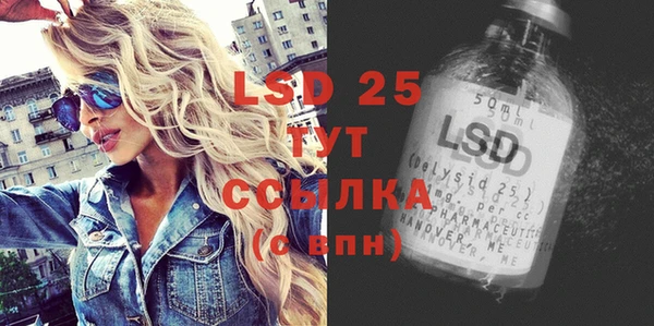 ПСИЛОЦИБИНОВЫЕ ГРИБЫ Ладушкин